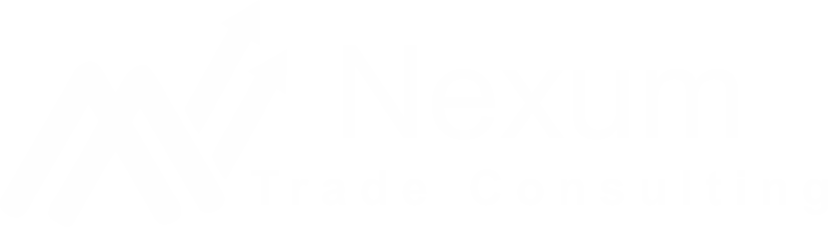 nexumtradeconsulting.com.ar