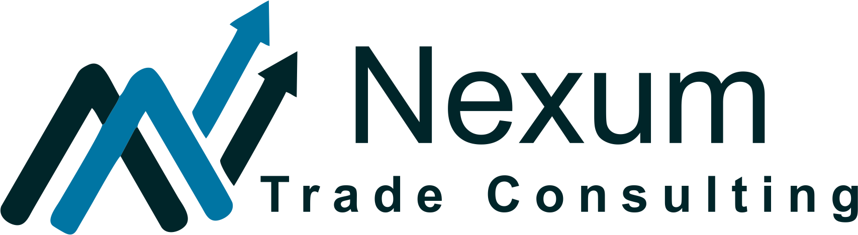 nexumtradeconsulting.com.ar